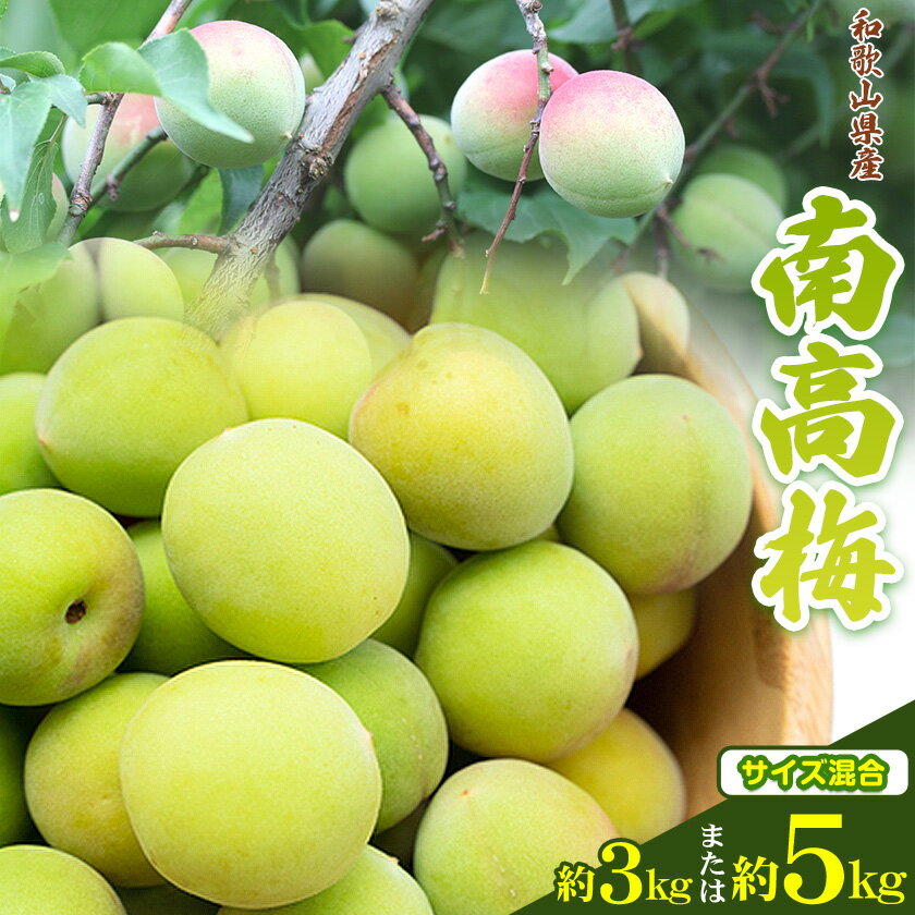 和歌山県産南高梅 選べる内容量 約3kg または 約5kg（サイズ混合）厳選館《2026年6月上旬-6月下旬頃出荷》和歌山県 日高町 うめ ウメ 梅 南高梅 和歌山県産 紀美野町【配送不可地域あり】
