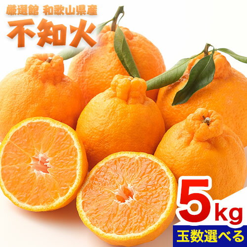 和歌山県産 不知火 約5kg 選べる 厳選館《2月中旬-4月上旬頃出荷》和歌山県 日高町 送料無料 柑橘 柑橘類 でこぽん 不知火 しらぬい デコ デコポン
