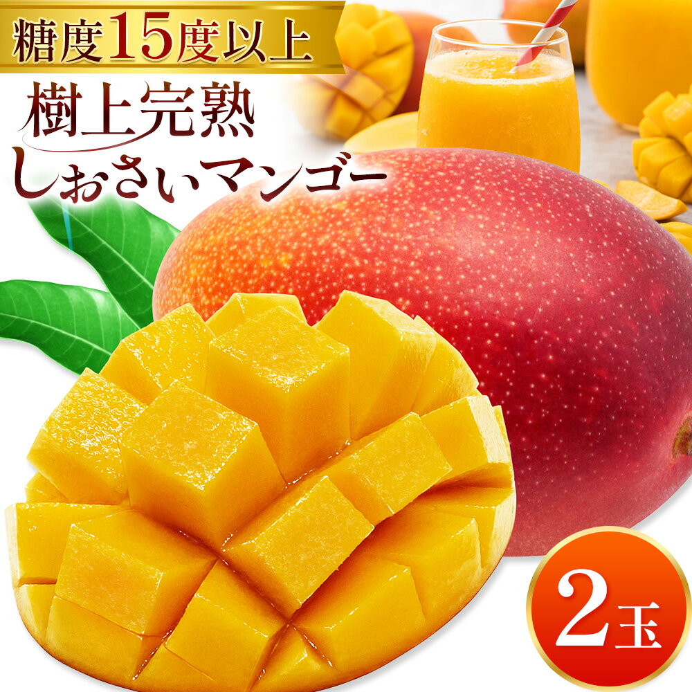 マンゴー 果物 和歌山県産 樹上完熟しおさいマンゴー 2玉 《2026年7月下旬-9月中旬頃出荷》 日高町厳選館 和歌山県 日高町 フルーツ 完熟 送料無料 贈答 プレゼント ご褒美 青果物