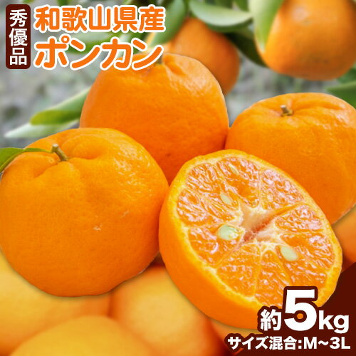 和歌山県産ポンカン 約 5kg 秀優品 (M〜3Lサイズ混合) 厳選館 《2月上旬-3月末頃出荷》和歌山県 日高町 柑橘 ポンカン ぽんかん フルーツ 秀品 優品