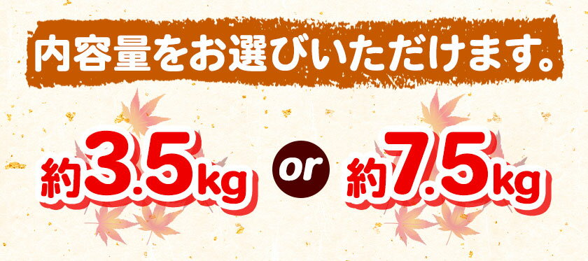 【ふるさと納税】先行予約 ご家庭用 和歌山秋の味覚 平核無柿 ( ひらたねなしがき ) 選べる 約 3.5kg 約 7.5kg 株式会社魚鶴商店《2026年10月上旬-11月上旬頃出荷》 和歌山県 日高町 柿 カキ かき たねなし ジューシー フルーツ サムネイル3