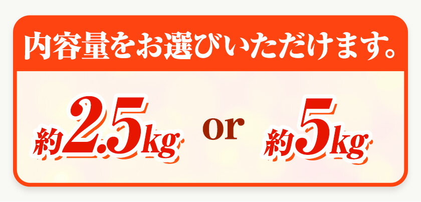 【ふるさと納税】【秀品】※先行予約※希少な国産バレンシアオレンジ 選べる 2.5kg 5kg 株式会社 魚鶴商店《2026年6月下旬頃〜7月上旬頃出荷》和歌山県 日高町 オレンジ 柑橘 フルーツ 果物 サムネイル3
