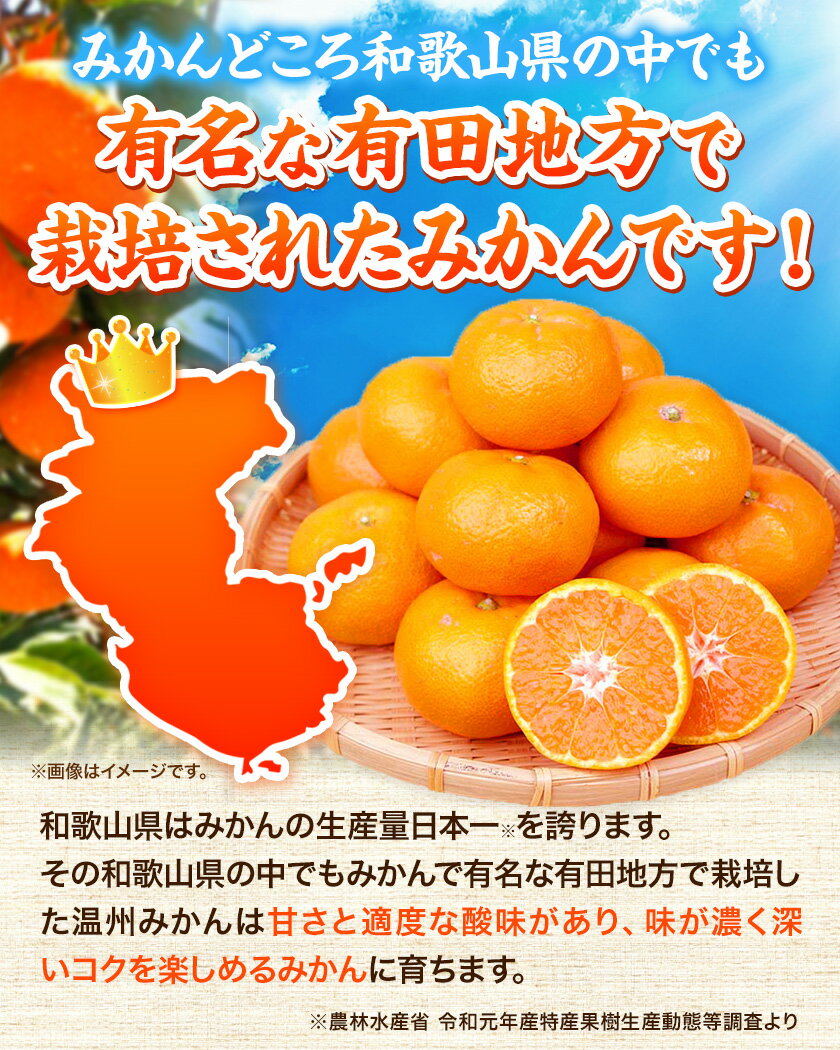 【ふるさと納税】【先行予約】みかん 高級ブランド 秀品 紀州有田田村産みかん 3kg 株式会社魚鶴《12月上旬-2月中旬頃出荷(土日祝除く)》和歌山県 日高町 田村産 柑橘 フルーツ くだもの 果物 サムネイル3
