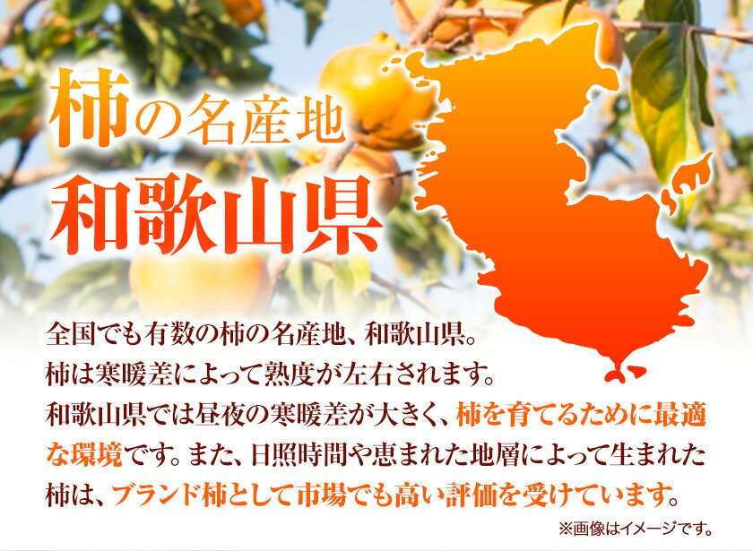 【ふるさと納税】＊先行予約＊【ご家庭用わけあり】 和歌山 秋の味覚 富有柿 約7.5kg 株式会社魚鶴商店《2025年11月上旬-12月上旬頃出荷》和歌山県 日高町 柿 富有柿 フルーツ サムネイル3