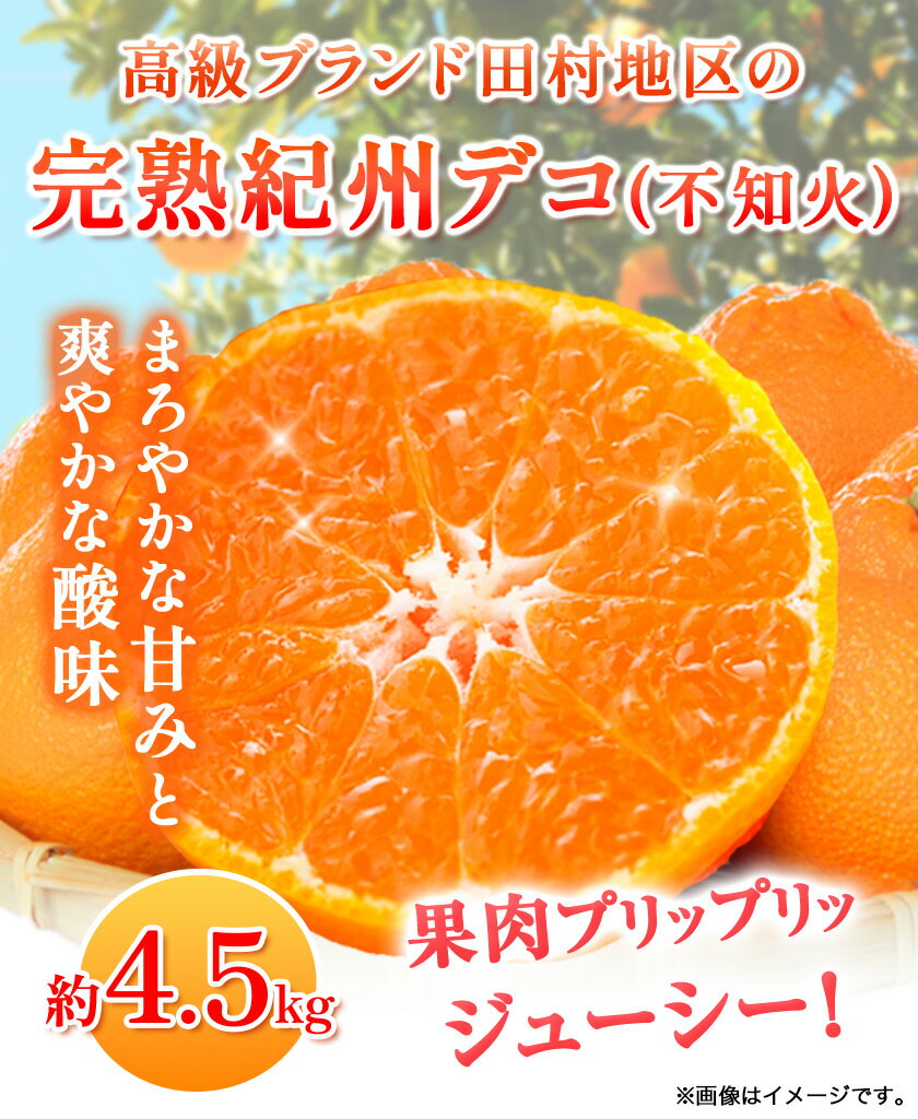 【ふるさと納税】【先行予約】高級ブランド田村の完熟紀州デコ(不知火) 約4.5kg 株式会社 魚鶴商店《2026年2月下旬-3月中旬頃出荷》和歌山県 日高町 田村地区 不知火 柑橘 果物 フルーツ ブランド果実 サムネイル2