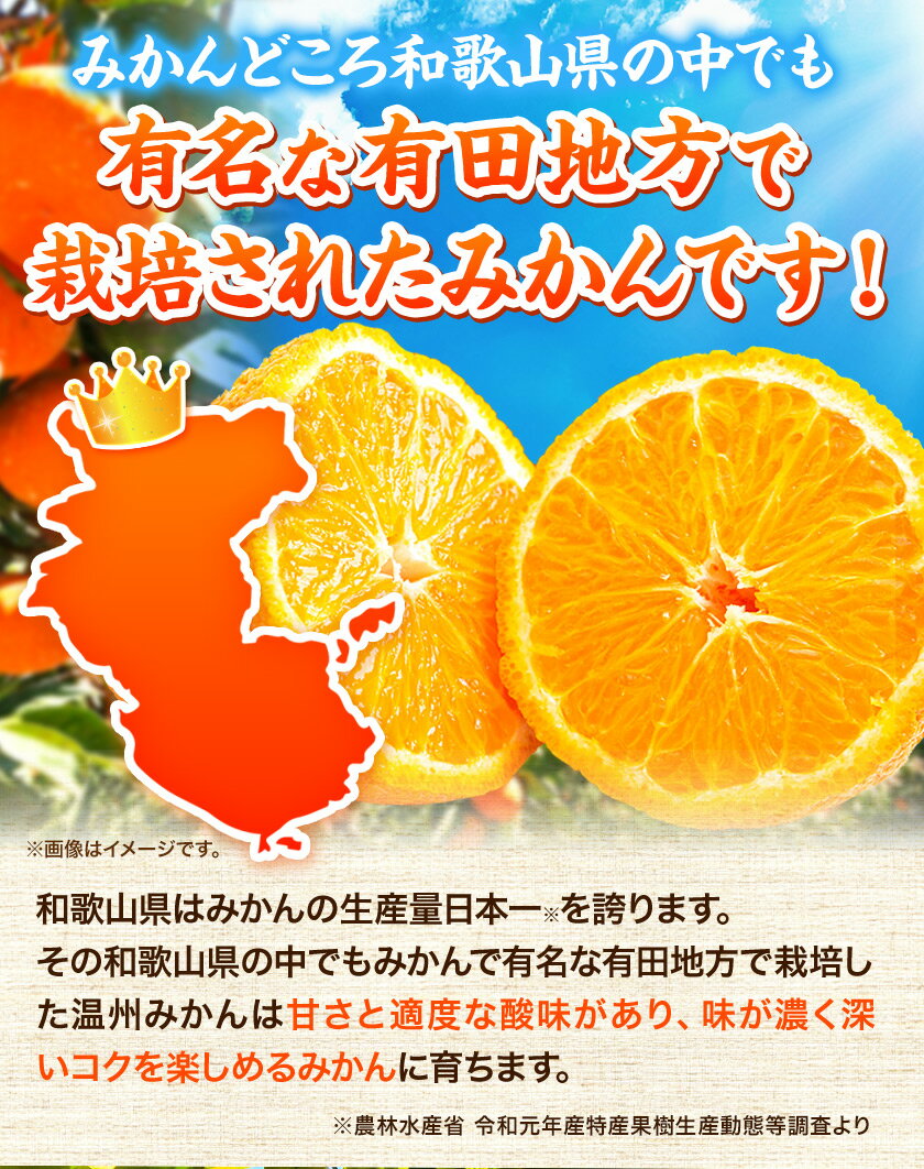 【ふるさと納税】【先行予約】高級ブランド田村の完熟紀州デコ(不知火) 約4.5kg 株式会社 魚鶴商店《2026年2月下旬-3月中旬頃出荷》和歌山県 日高町 田村地区 不知火 柑橘 果物 フルーツ ブランド果実 サムネイル3