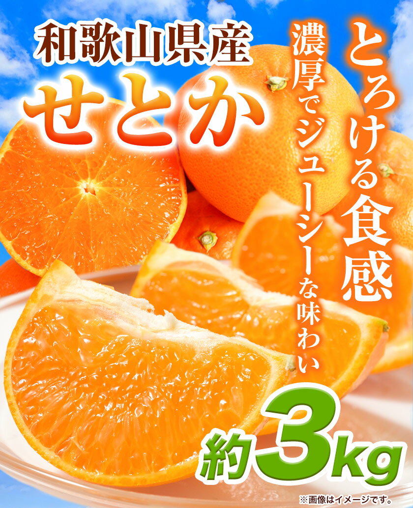 【ふるさと納税】とろける食感!ジューシー柑橘 せとか 約3kg 魚鶴商店 《2月下旬-3月下旬頃出荷》 和歌山県 日高町 みかん 柑橘 果物 フルーツ 送料無料 サムネイル2