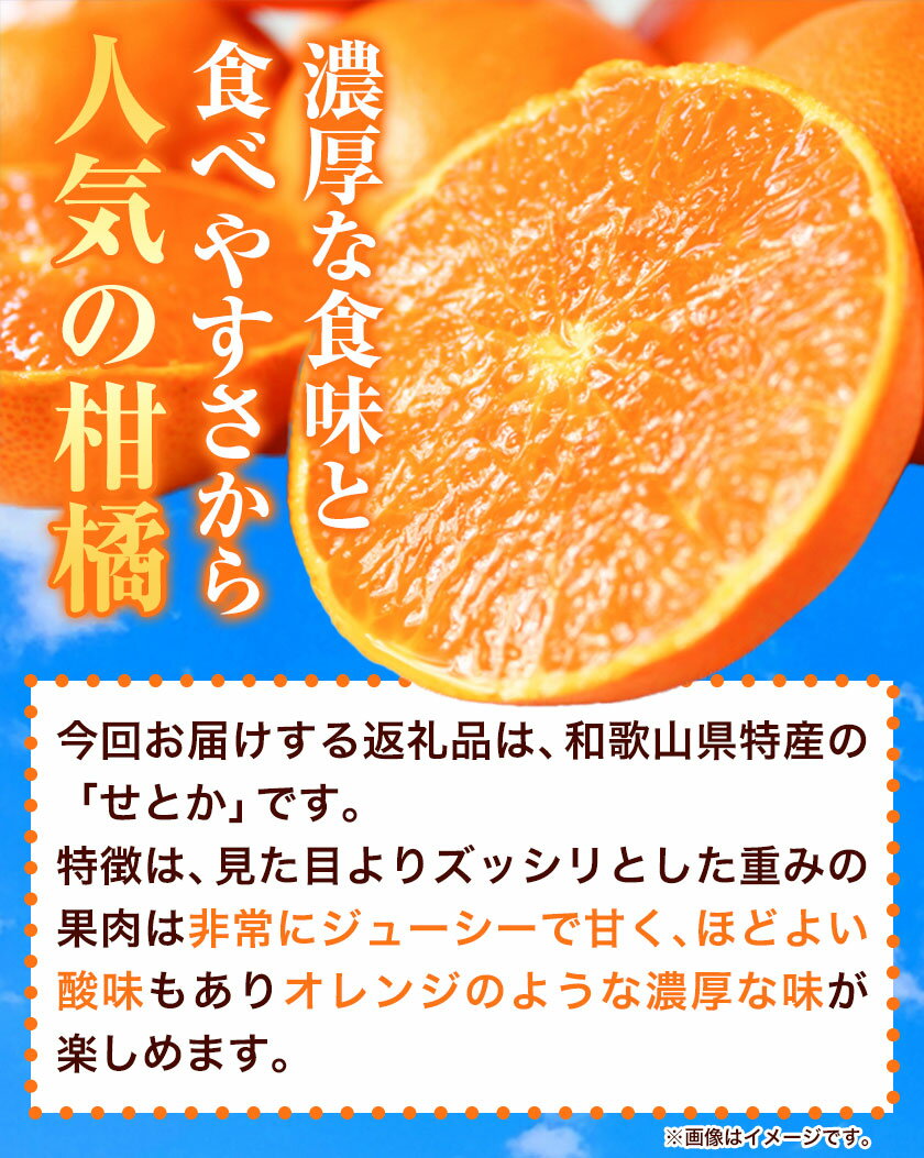 【ふるさと納税】とろける食感!ジューシー柑橘 せとか 約3kg 魚鶴商店 《2月下旬-3月下旬頃出荷》 和歌山県 日高町 みかん 柑橘 果物 フルーツ 送料無料 サムネイル3