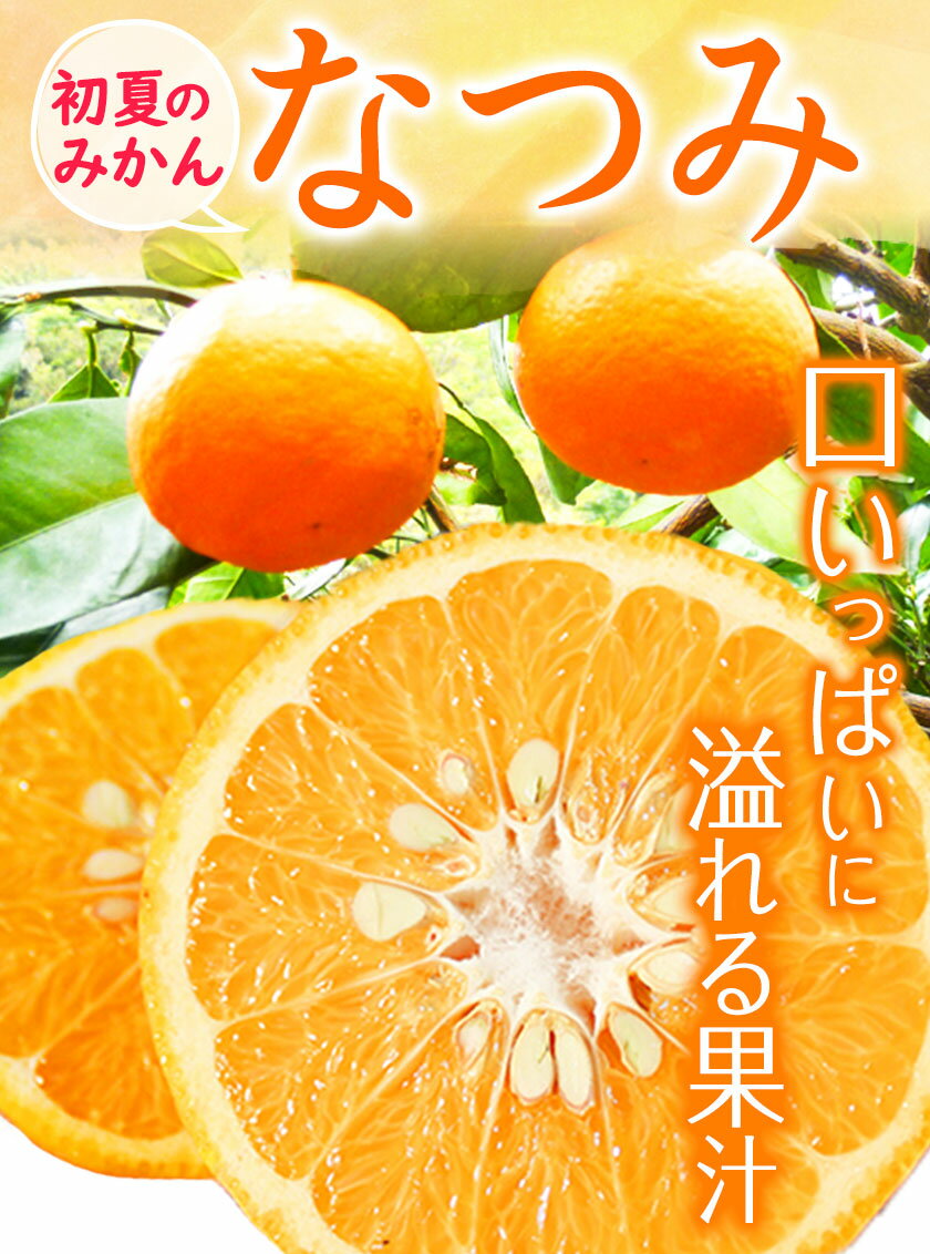 【ふるさと納税】＜先行予約＞初夏のみかん なつみ 選べる 約3kg 約5kg 株式会社 魚鶴商店《2026年4月中旬-4月下旬頃出荷》 和歌山県 日高町 みかん なつみ 南津海 柑橘 果物 フルーツ 送料無料 サムネイル3