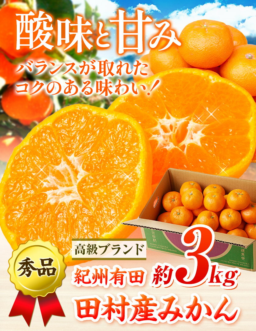 【ふるさと納税】【先行予約】みかん 高級ブランド 秀品 紀州有田田村産みかん 3kg 株式会社魚鶴《12月上旬-2月中旬頃出荷(土日祝除く)》和歌山県 日高町 田村産 柑橘 フルーツ くだもの 果物 サムネイル2