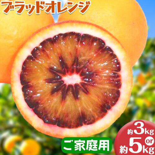 ＜先行予約＞紀州有田産ブラッド オレンジ 選べる 内容量 約 3kg 約 5kg【ご家庭用】 魚鶴商店《2026年3月上旬-3月下旬頃出荷》 和歌山県 日高町 紀州有田産 オレンジ みかん ご家庭用