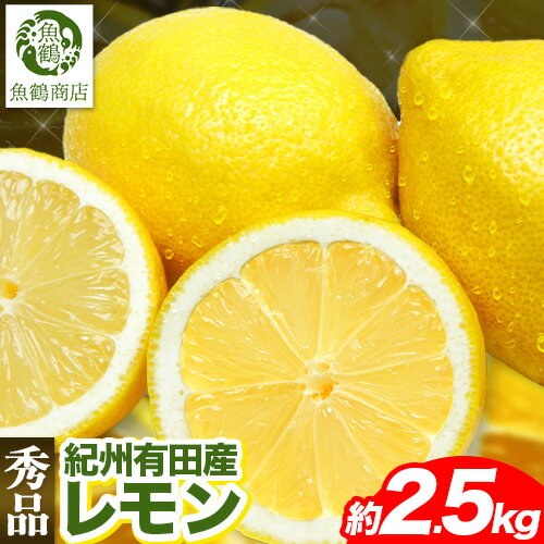 先行予約【秀品】紀州 有田産 レモン 約 2.5kg 魚鶴商店《2026年3月上旬-3月中旬頃出荷》和歌山県 日高町 柑橘 レモン れもん lemon remon 果物 有田 はちみつレモン