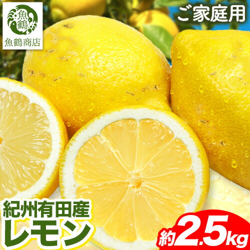 【ご家庭用訳あり】紀州 有田産 レモン 約 2.5kg 魚鶴商店《3月上旬-3中旬頃出荷》和歌山県 日高町 柑橘 レモン れもん フルーツ 檸檬
