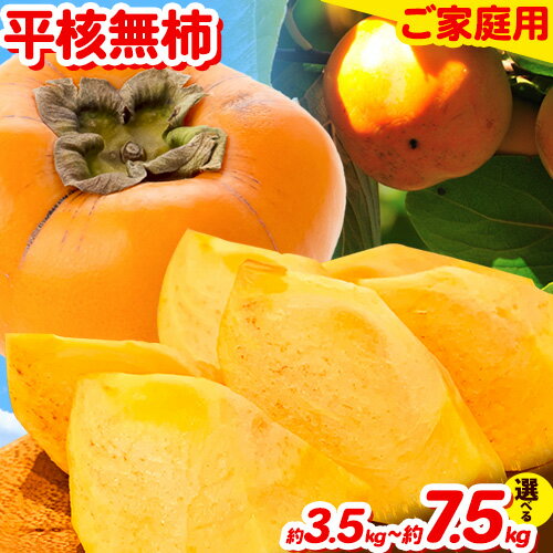 先行予約 ご家庭用 和歌山秋の味覚 平核無柿 ( ひらたねなしがき ) 選べる 約 3.5kg 約 7.5kg 株式会社魚鶴商店《2026年10月上旬-11月上旬頃出荷》 和歌山県 日高町 柿 カキ かき たねなし ジューシー フルーツ