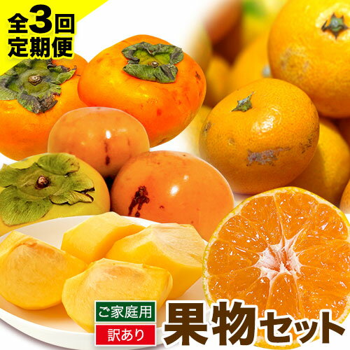 【発送月固定定期便】フルーツセット ご家庭用 訳あり果物セット (平核無柿 富有柿 みかん)【全3回】 魚鶴商店《10月上旬-1月上旬出荷予定(土日祝除く)》 和歌山県 日高町 平核無柿 富有柿 柿 みかん 柑橘 蜜柑 果物 フルーツ 送料無料 定期便