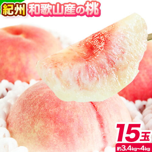 桃 もも 紀州 和歌山産 の 桃 15玉 ( 約 3.4kg ~ 4kg ) 魚鶴商店《2026年6月下旬-8月上旬より発送予定》和歌山県 日高町 フルーツ 化粧箱入り ギフト モモ わかやま 果物