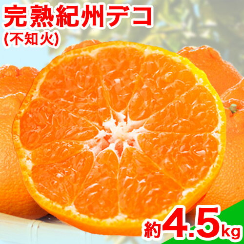 【先行予約】高級ブランド田村の完熟紀州デコ(不知火) 約4.5kg 株式会社 魚鶴商店《2026年2月下旬-3月中旬頃出荷》和歌山県 日高町 田村地区 不知火 柑橘 果物 フルーツ ブランド果実