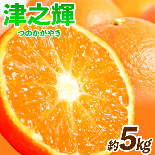 【先行予約】津之輝(つのかがやき) 約5kg 株式会社魚鶴商店《2026年2月上旬-3月中旬頃出荷予定》 和歌山県 日高町 柑橘 フルーツ