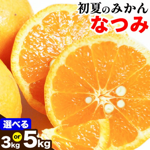 ＜先行予約＞初夏のみかん なつみ 選べる 約3kg 約5kg 株式会社 魚鶴商店《2026年4月中旬-4月下旬頃出荷》 和歌山県 日高町 みかん なつみ 南津海 柑橘 果物 フルーツ 送料無料