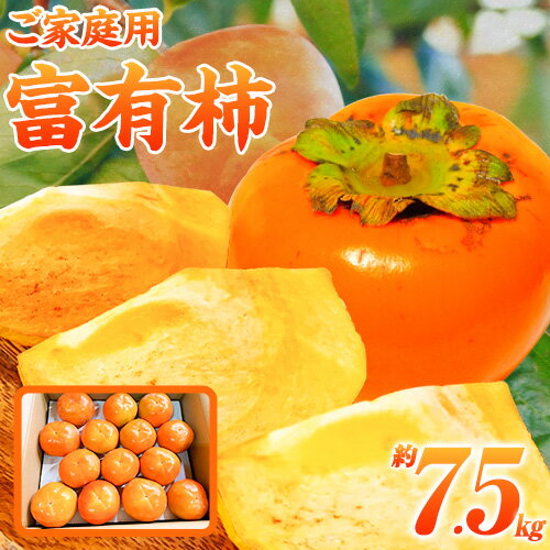 ＊先行予約＊【ご家庭用わけあり】 和歌山 秋の味覚 富有柿 約7.5kg 株式会社魚鶴商店《2025年11月上旬-12月上旬頃出荷》和歌山県 日高町 柿 富有柿 フルーツ