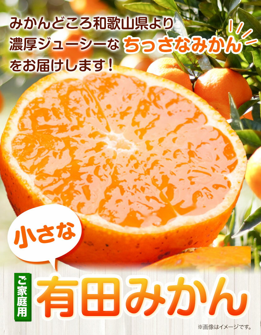 【ふるさと納税】訳ありみかん 家庭用 小さな 有田みかん 1kg 2.5kg 5kg 10kg 各＋250g (傷み補償分)【光センサー選果】池田鹿蔵農園@日高町（池田農園株式会社）《11月上旬-12月末頃出荷》和歌山県 日高町 訳あり【配送不可地域あり】 サムネイル2
