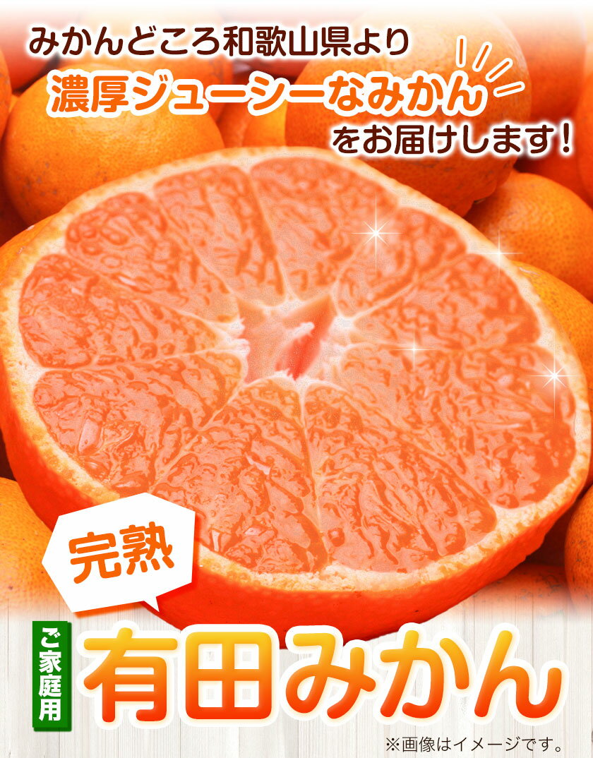 【ふるさと納税】家庭用 完熟 有田みかん 1kg 2.5kg 5kg 10kg 各＋250g (傷み補償分)【光センサー選果】池田鹿蔵農園@日高町（池田農園株式会社）《11月中旬-1月末頃出荷》和歌山県 日高町 訳あり わけあり みかん【配送不可地域あり】 サムネイル2