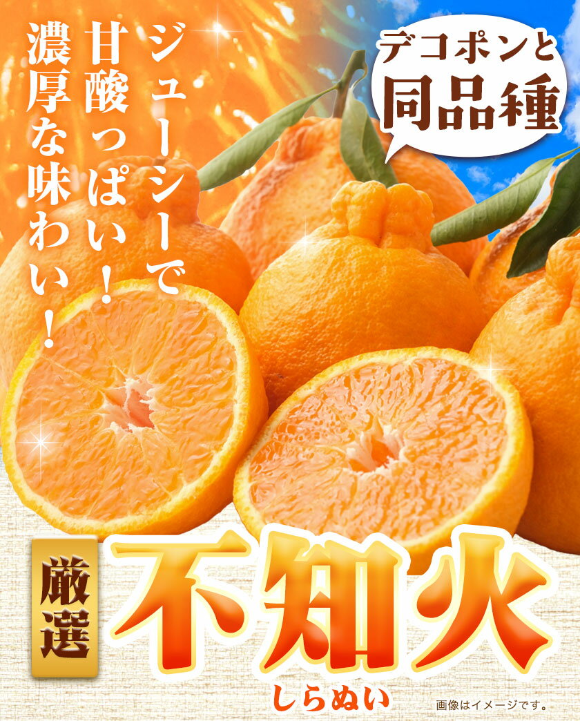 【ふるさと納税】 厳選 不知火 デコポン 同品種 みかん 選べる 1kg 2.5kg 5kg 10kg 傷み補償分付き 池田鹿蔵農園 @日高町 《2月上旬-3月末頃より出荷予定》和歌山県 日高町 送料無料 しらぬい でこぽん 濃厚 厳選みかん 厳選デコポン【配送不可地域あり】 サムネイル2