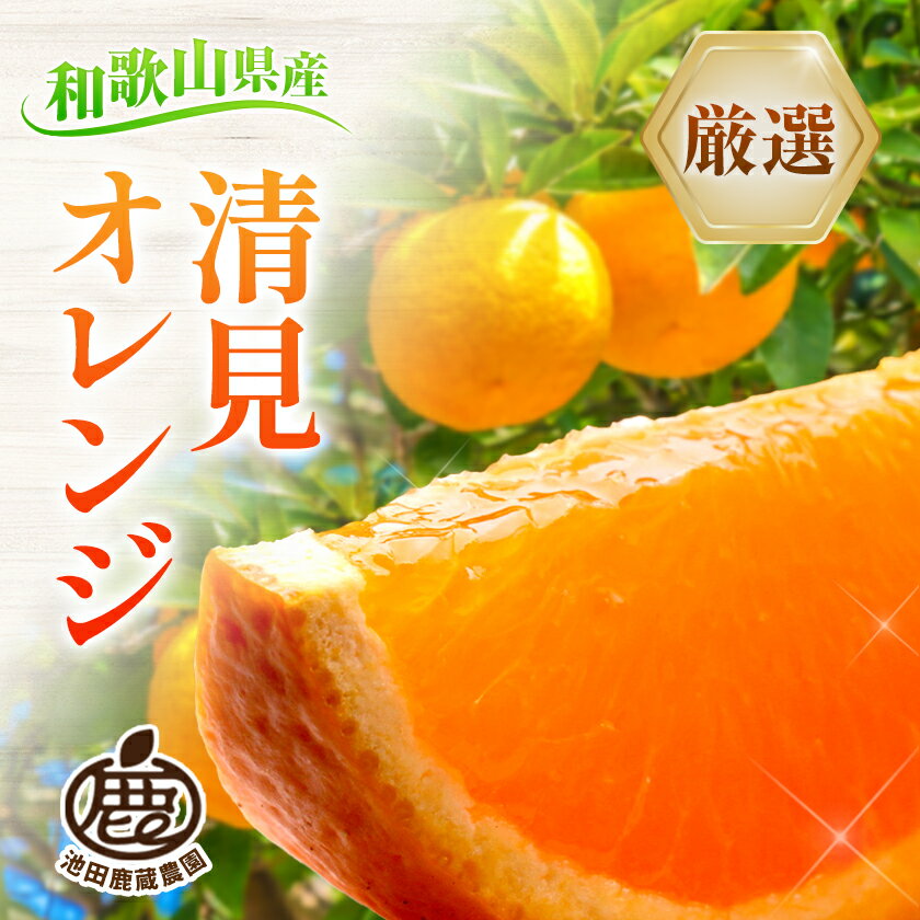 【ふるさと納税】【先行予約】＜2月より発送＞ 厳選 清見オレンジ 選べる 約1kg+250g 約2.5kg+250g 約5kg+250g 約10kg+250g (傷み補償分) 光センサー選別 池田鹿蔵農園 《2月上旬-3月末出荷》和歌山県 日高町 果物 送料無料【配送不可地域あり】 サムネイル2