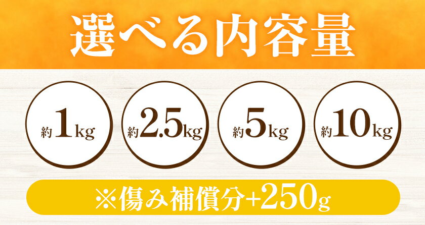 【ふるさと納税】【先行予約】＜2月より発送＞ 厳選 清見オレンジ 選べる 約1kg+250g 約2.5kg+250g 約5kg+250g 約10kg+250g (傷み補償分) 光センサー選別 池田鹿蔵農園 《2月上旬-3月末出荷》和歌山県 日高町 果物 送料無料【配送不可地域あり】 サムネイル3