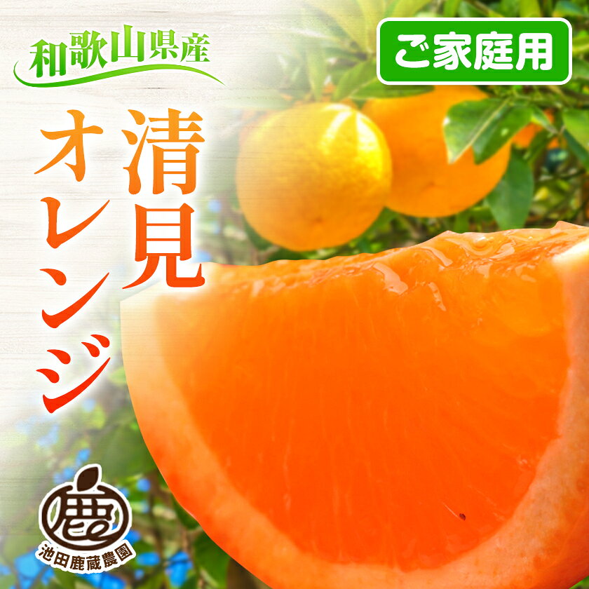 【ふるさと納税】【先行予約】＜2月より発送＞ 家庭用 清見オレンジ 選べる 約1kg+250g 約2.5kg+250g 約5kg+250g 約10kg+250g (傷み補償分) 訳あり ご家庭用 光センサー選別 池田鹿蔵農園 《2月上旬-3月末出荷》和歌山県 日高町 果物 送料無料【配送不可地域あり】 サムネイル2