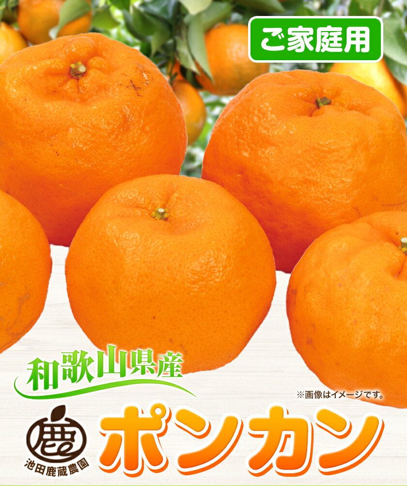 【ふるさと納税】【先行予約】 家庭用 ポンカン 選べる 約1kg＋250g 約2.5kg＋250g 約5kg＋250g 約10kg＋250g (傷み補償分) 光センサー選別 訳あり 和歌山県産 有田 ポンカン 池田鹿蔵農園 《1月末-2月末頃出荷》和歌山県 日高町 果物 送料無料【配送不可地域あり】 サムネイル2