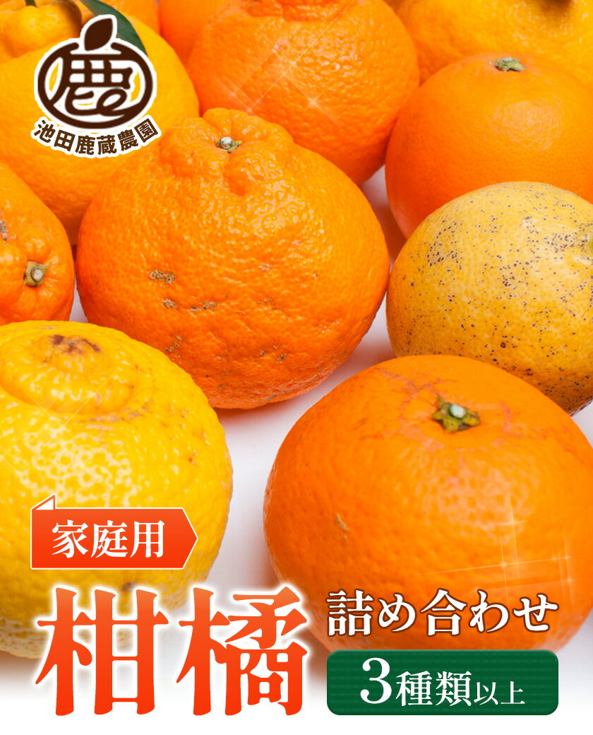 【ふるさと納税】【先行予約】家庭用 柑橘詰合せ 選べる 約1kg＋250g 約2.5kg＋250g 約5kg＋250g 約10kg＋250g (傷み補償分) 3種類以上 有田の春みかん詰め合わせ 光センサー選別 池田鹿蔵農園 《1月上旬-4月末頃出荷》 和歌山県 日高町 【配送不可地域あり】 サムネイル2