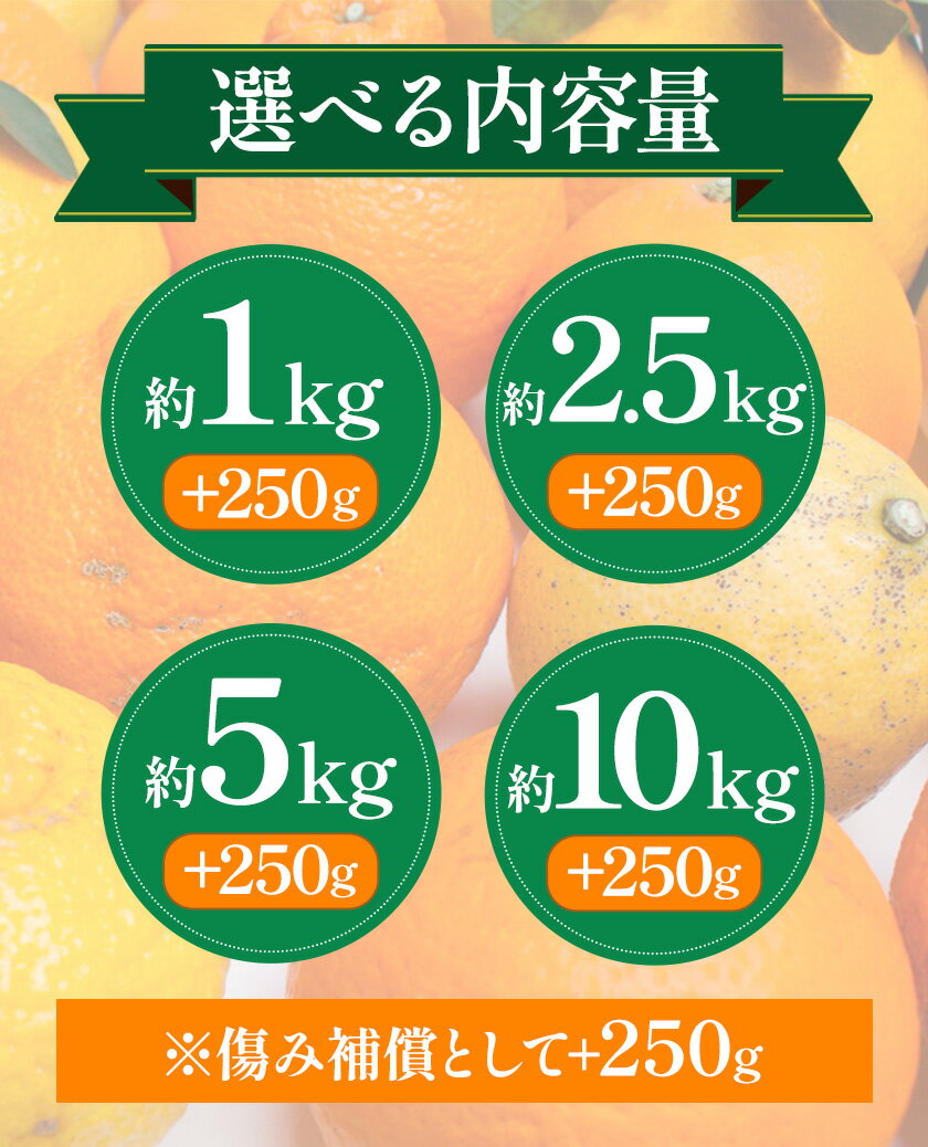 【ふるさと納税】【先行予約】家庭用 柑橘詰合せ 選べる 約1kg＋250g 約2.5kg＋250g 約5kg＋250g 約10kg＋250g (傷み補償分) 3種類以上 有田の春みかん詰め合わせ 光センサー選別 池田鹿蔵農園 《1月上旬-4月末頃出荷》 和歌山県 日高町 【配送不可地域あり】 サムネイル3