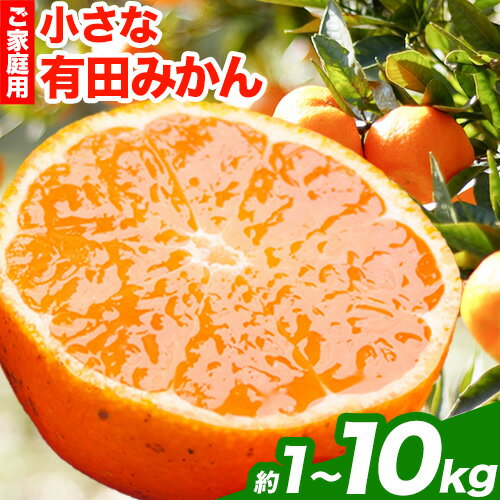 訳ありみかん 家庭用 小さな 有田みかん 1kg 2.5kg 5kg 10kg 各＋250g (傷み補償分)【光センサー選果】池田鹿蔵農園@日高町（池田農園株式会社）《11月上旬-12月末頃出荷》和歌山県 日高町 訳あり【配送不可地域あり】