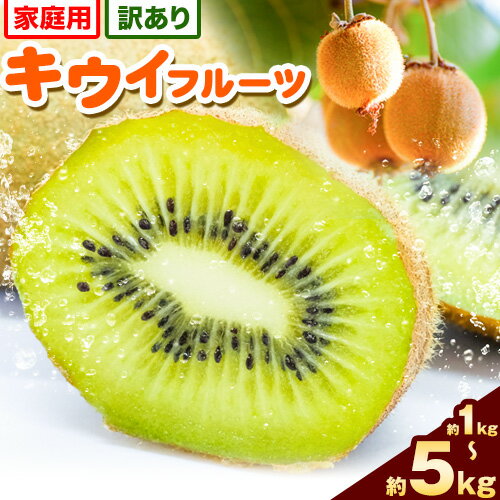 先行予約 ご家庭用 キウイ フルーツ 約 1kg 2.5kg 5kg 各＋250g (傷み補償分) 池田鹿蔵農園@日高町（池田農園株式会社）《11月中旬〜4月末出荷》【配送不可地域あり】和歌山県 日高町 わけあり 訳あり 扁平果