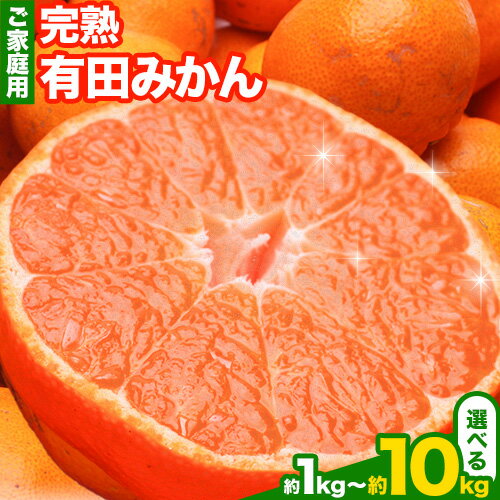 家庭用 完熟 有田みかん 1kg 2.5kg 5kg 10kg 各＋250g (傷み補償分)【光センサー選果】池田鹿蔵農園@日高町（池田農園株式会社）《11月中旬-1月末頃出荷》和歌山県 日高町 訳あり わけあり みかん【配送不可地域あり】