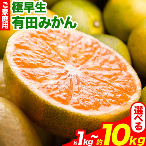 家庭用 極早生有田みかん 1kg 2.5kg 5kg 10kg 各＋250g (傷み補償分)【YN26・ゆら早生】【わけあり・訳あり】池田鹿蔵農園（池田農園株式会社）《10月上旬-11月中旬頃出荷》和歌山県 日高町 みかん 有田みかん 配送不可地域あり】