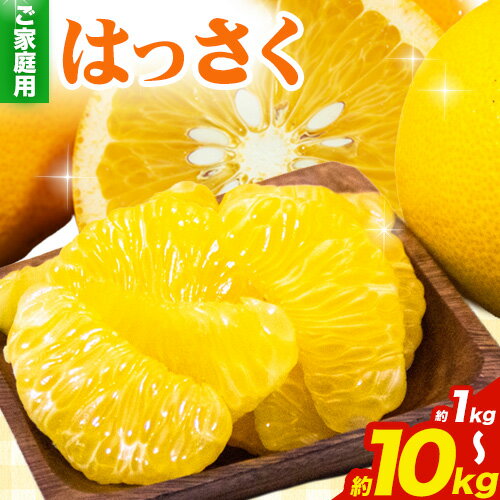 ＜1月より発送＞ご家庭用 訳あり はっさく 八朔 みかん 選べる 1kg +250g 2.5kg +250g 5kg +250g 10kg +250g 池田鹿蔵農園 日高町《2025年1月上旬-3月末頃出荷》和歌山県 日高町 送料無料 はっさくみかん 八朔 訳ありはっさく【配送不可地域あり】