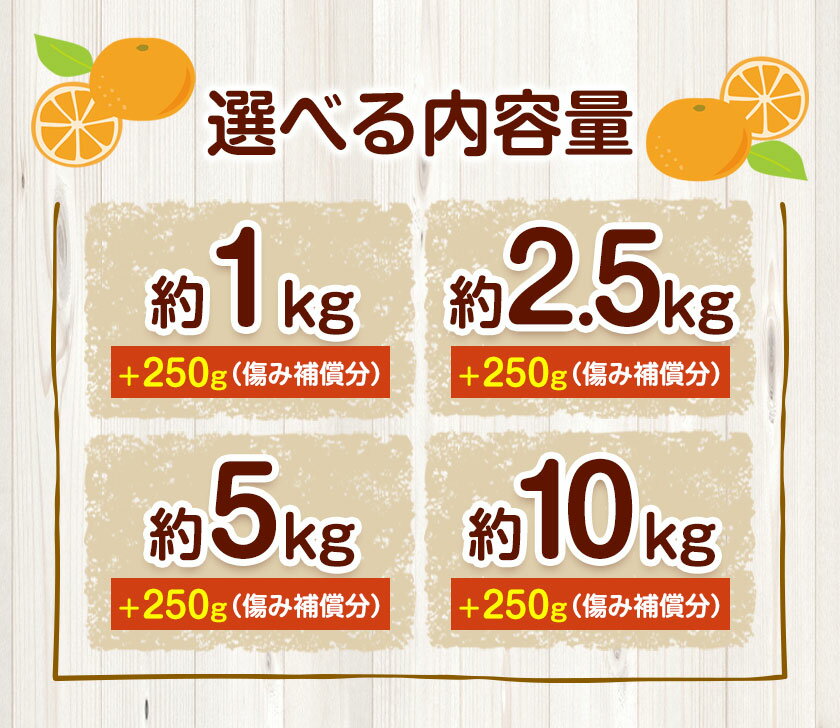 【ふるさと納税】プレミアム 完熟有田みかん 約1kg 約2.5kg 約5kg 約10kg ＋250g （ 傷み補償分 ）【光センサー選果】 池田鹿蔵農園@日高町（池田農園株式会社）《11月中旬-1月下旬頃出荷》和歌山県 日高町 みかん【配送不可地域あり】 サムネイル3