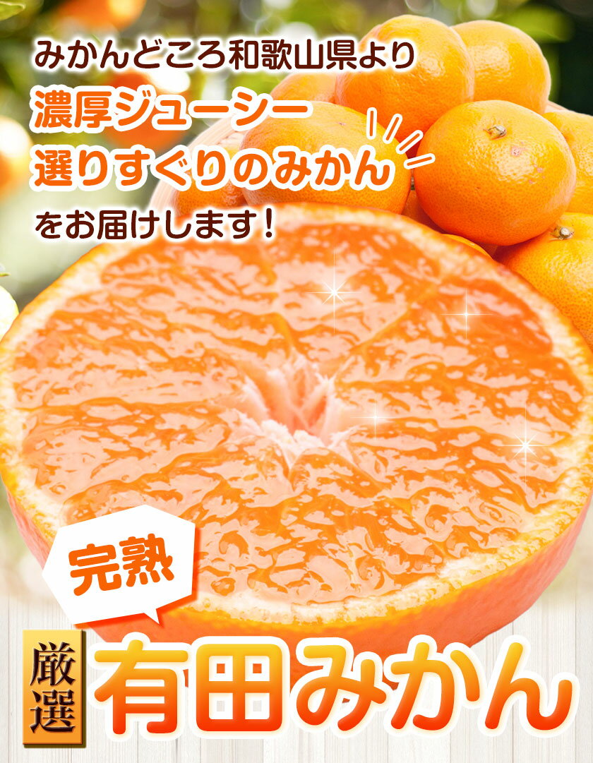 【ふるさと納税】プレミアム 完熟有田みかん 約1kg 約2.5kg 約5kg 約10kg ＋250g （ 傷み補償分 ）【光センサー選果】 池田鹿蔵農園@日高町（池田農園株式会社）《11月中旬-1月下旬頃出荷》和歌山県 日高町 みかん【配送不可地域あり】 サムネイル2