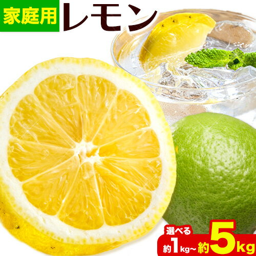 家庭用 レモン 選べる 約 1kg 2.5kg 5kg 各＋250g (傷み補償分) 和歌山 有田産 防腐剤・WAX不使用 安心 国産 レモン 池田鹿蔵農園@日高町（池田農園株式会社）《9月上旬-4月下旬頃より発送予定》和歌山県 日高町【配送不可地域あり】
