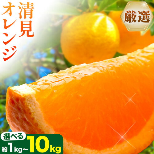 【先行予約】＜2月より発送＞ 厳選 清見オレンジ 選べる 約1kg+250g 約2.5kg+250g 約5kg+250g 約10kg+250g (傷み補償分) 光センサー選別 池田鹿蔵農園 《2月上旬-3月末出荷》和歌山県 日高町 果物 送料無料【配送不可地域あり】