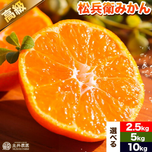 【先行予約】選べる 主井農園 の 高級 松兵衛 みかん 約 2.5kg 5kg 10kg《11月中旬-1月上旬に発送予定(土日祝除く)》主井農園 和歌山 和歌山みかん みかん ミカン 蜜柑 柑橘 果物 フルーツ