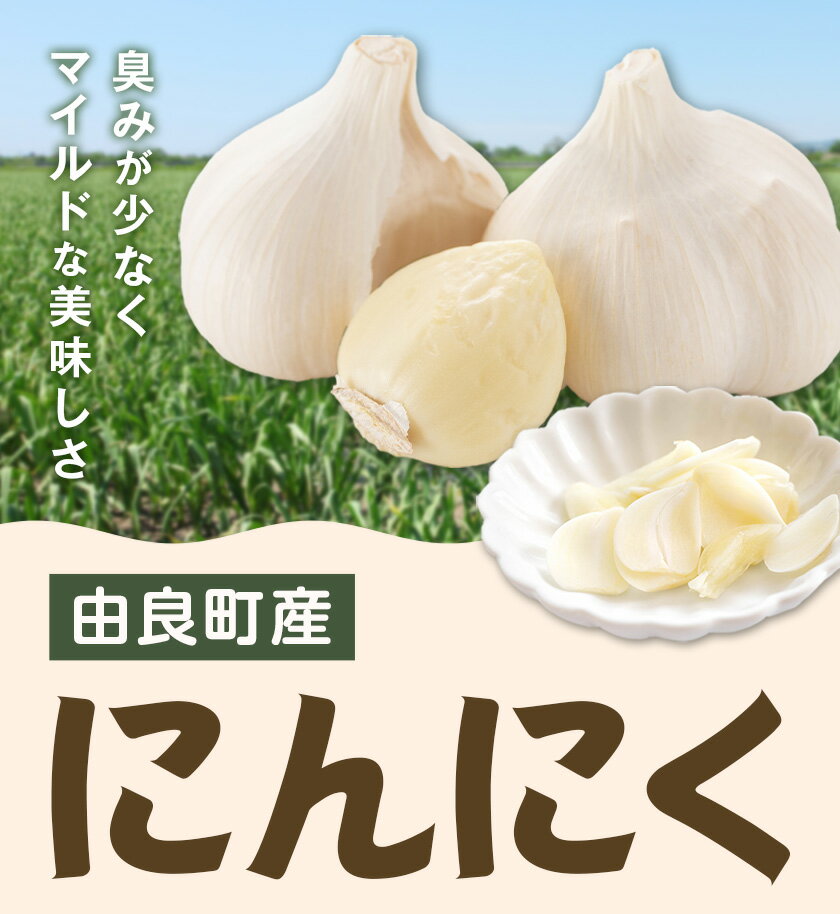 【ふるさと納税】由良町産 にんにく 選べる内容量 優品 約1.8kg 秀品 Lサイズ 約2kg(1kg×2)《4月下旬頃より出荷》 スマイル 和歌山県 日高町 ガーリック - 画像2