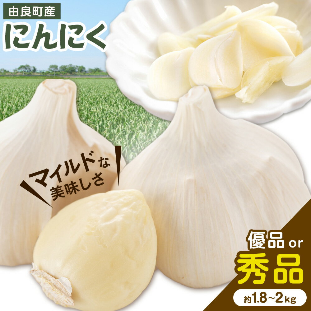 由良町産 にんにく 選べる内容量 優品 約1.8kg 秀品 Lサイズ 約2kg(1kg×2)《4月下旬頃より出荷》 スマイル 和歌山県 日高町 ガーリック