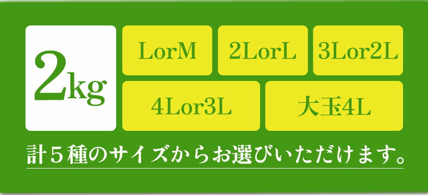 【ふるさと納税】紀州熟南高梅 約2kg 選べるサイズ MまたはLサイズ Lまたは2Lサイズ 2Lまたは3Lサイズ 3Lまたは4Lサイズ 大玉4Lサイズ ふるさと農園《6月上旬-6月中旬頃出荷予定》和歌山県 日高町 梅 うめ 果物 フルーツ 和歌山県産 送料無料 梅酒 梅干し 紀州南高梅 サムネイル3