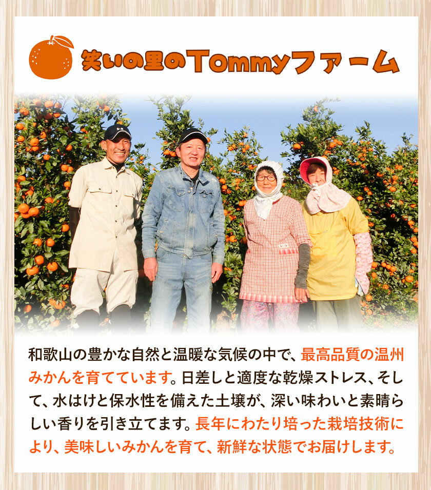 【ふるさと納税】 秀品 贈答用 宮川 早生 みかん 約 5kg (2S〜2Lサイズ) 笑いの里のTommyファーム《11月下旬-1月上旬頃出荷》和歌山県 日高町 みかん 早生 贈答用 旬 柑橘 フルーツ 果物 ミカン 柑 産地直送 箱入り サムネイル3