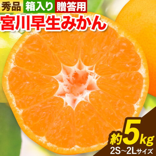 秀品 贈答用 宮川 早生 みかん 約 5kg (2S〜2Lサイズ) 笑いの里のTommyファーム《11月下旬-1月上旬頃出荷》和歌山県 日高町 みかん 早生 贈答用 旬 柑橘 フルーツ 果物 ミカン 柑 産地直送 箱入り