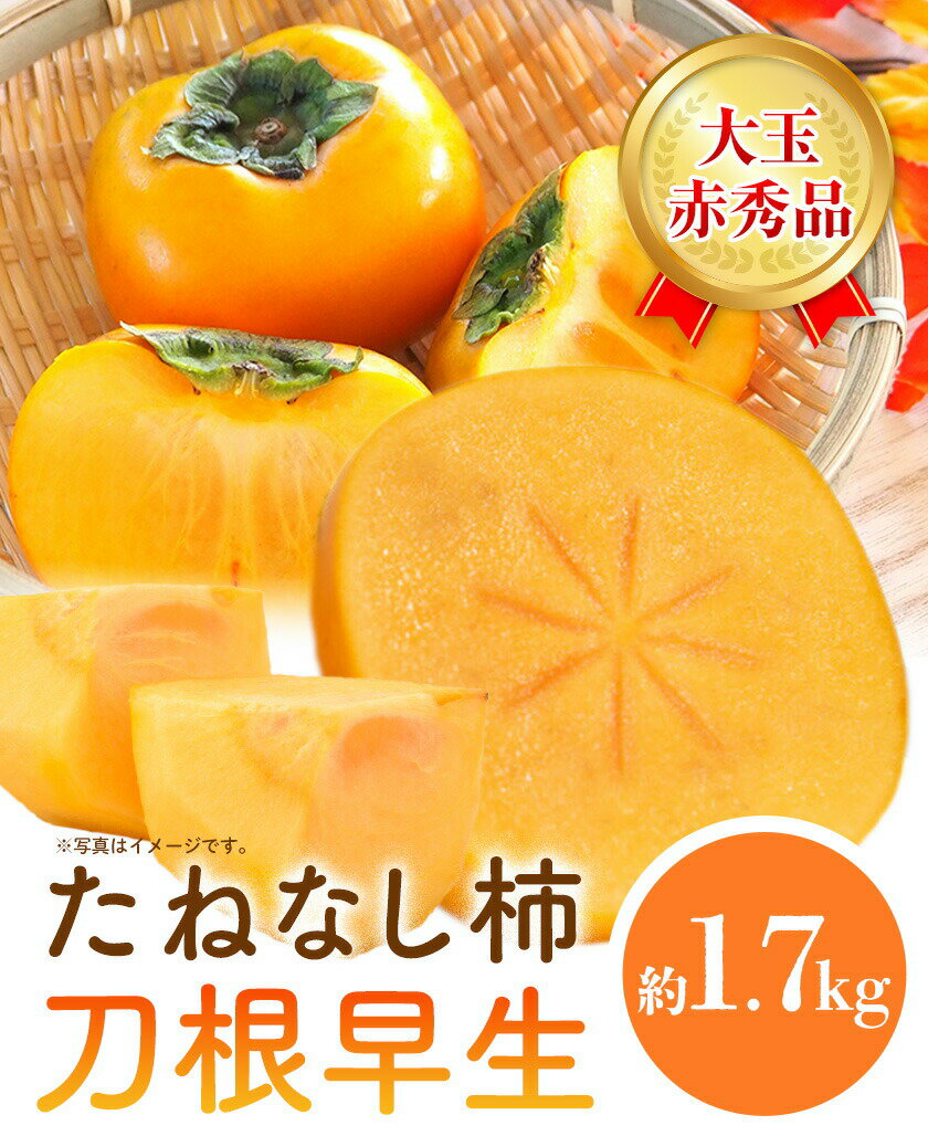 【ふるさと納税】赤秀品 たねなし柿 ( 刀根早生 )約1.7kg (6玉) きよ農園《2026年9月末-10月末頃より発送予定(土日祝除く)》 和歌山県 日高町 柿 かき カキ 刀根早生 とねわせ フルーツ 果物 スイーツ 送料無料 サムネイル2