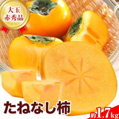 赤秀品 たねなし柿 ( 刀根早生 )約1.7kg (6玉) きよ農園《2026年9月末-10月末頃より発送予定(土日祝除く)》 和歌山県 日高町 柿 かき カキ 刀根早生 とねわせ フルーツ 果物 スイーツ 送料無料